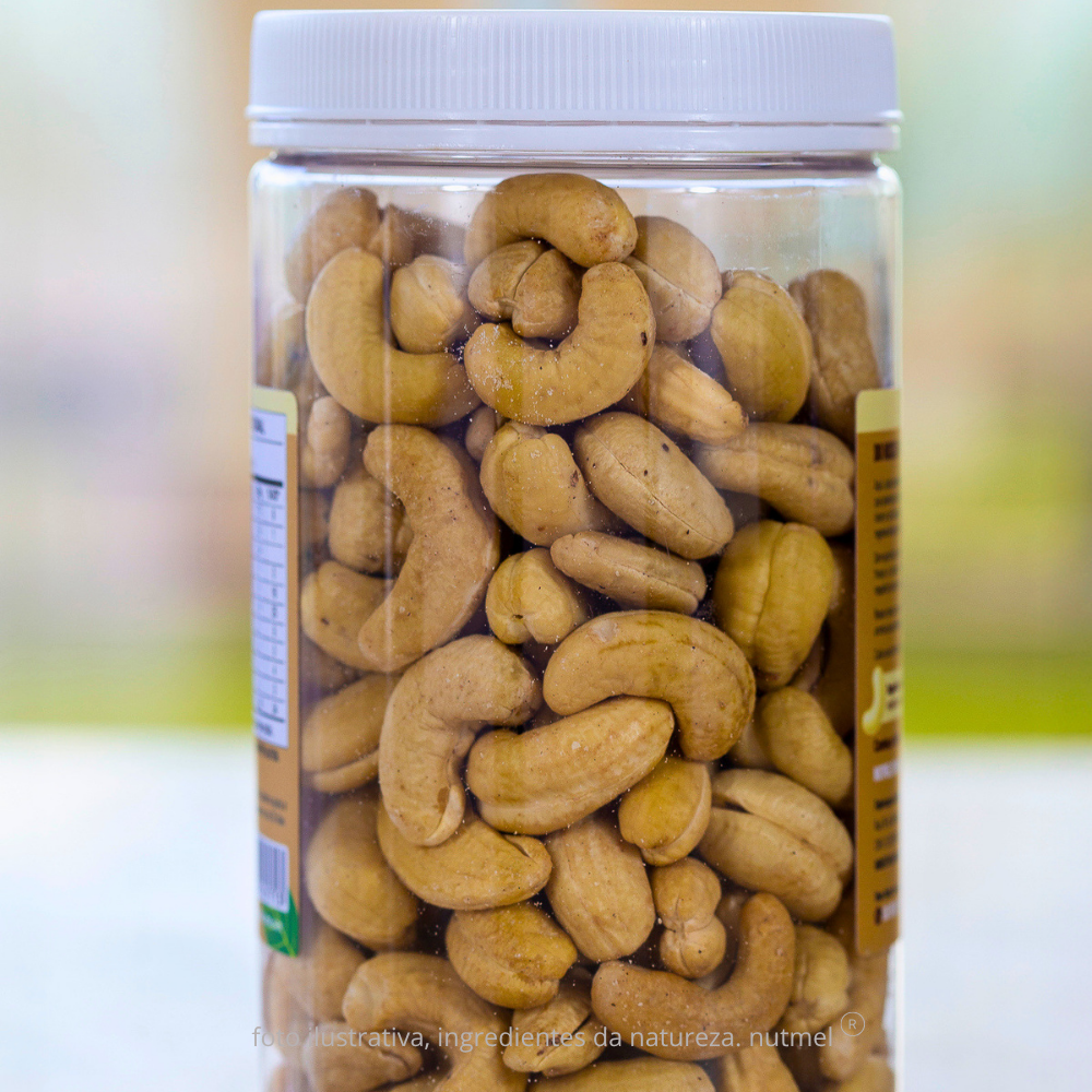 Castanha caju premium orgânica slw natural pote 480g