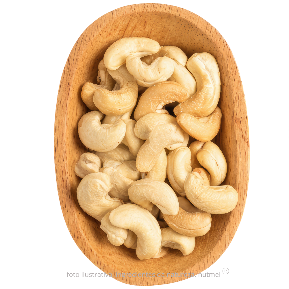 Castanha caju premium orgânica slw natural pote 240g