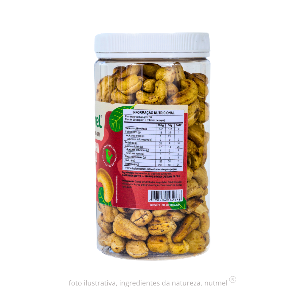 Castanha caju premium orgânica slw assada salgada pote 480g