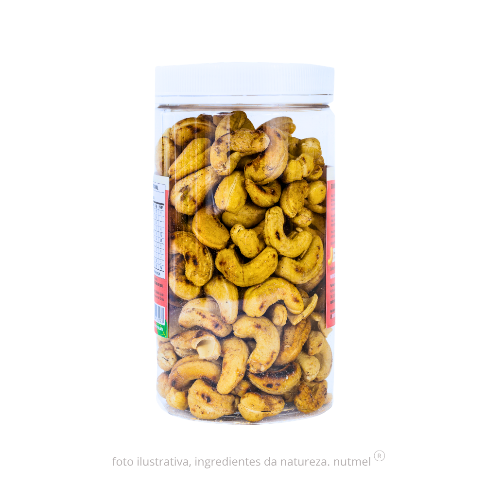 Castanha caju premium orgânica slw assada salgada pote 480g