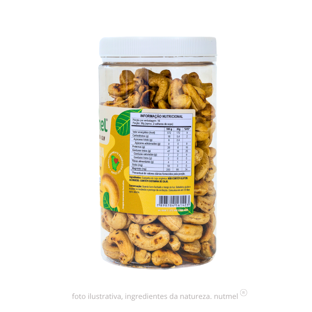 Castanha caju premium orgânica slw assada sem sal pote 480g