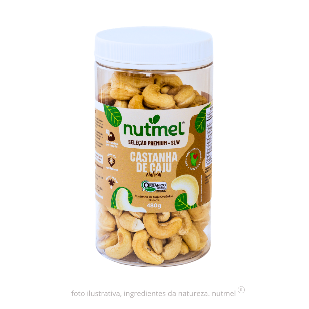 Castanha caju premium orgânica slw natural pote 480g