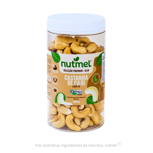 Castanha caju premium orgânica slw natural pote 480g