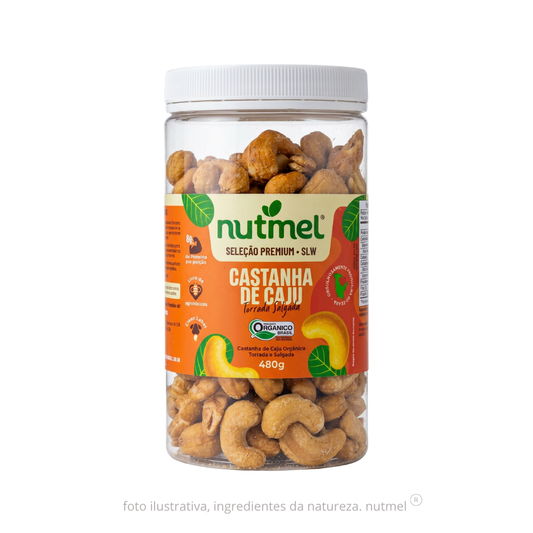 Castanha caju premium orgânica slw torrada salgada pote 480g