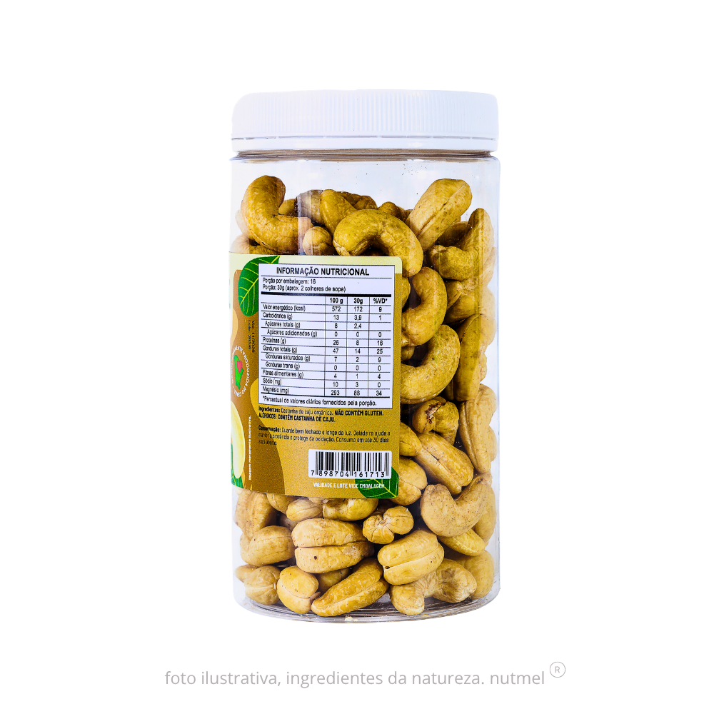 Castanha caju premium orgânica slw natural pote 480g