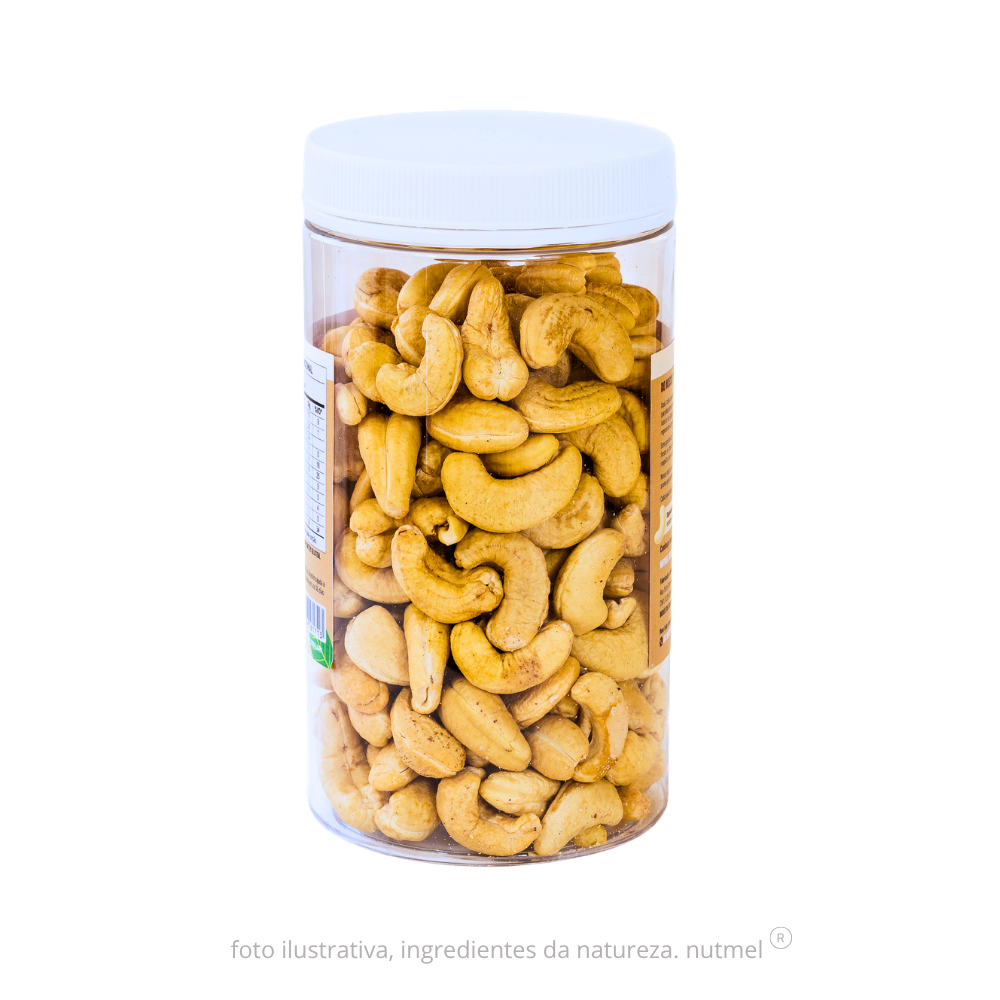 Castanha caju premium orgânica slw natural pote 480g