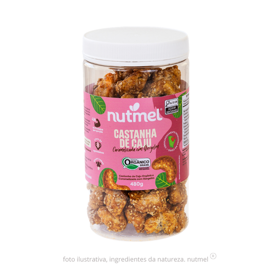 Castanha de caju orgânica caramelizada pote 480g