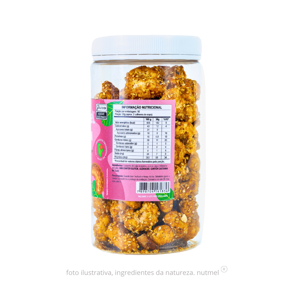 Castanha de caju orgânica caramelizada pote 480g