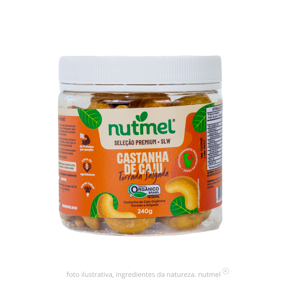 Castanha caju premium orgânica slw torrada salgada pote 240g