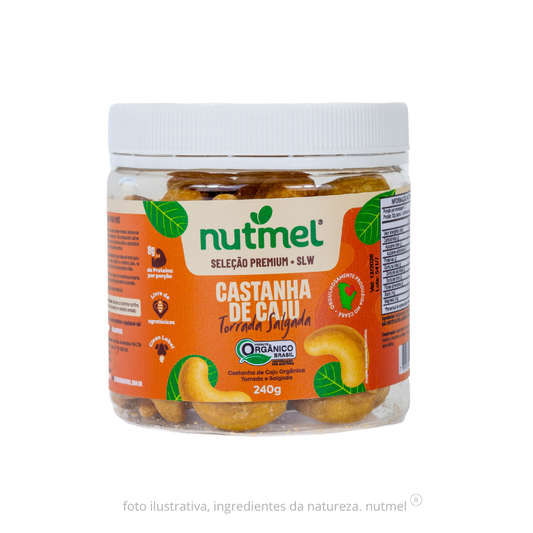 Castanha caju premium orgânica slw torrada salgada pote 240g