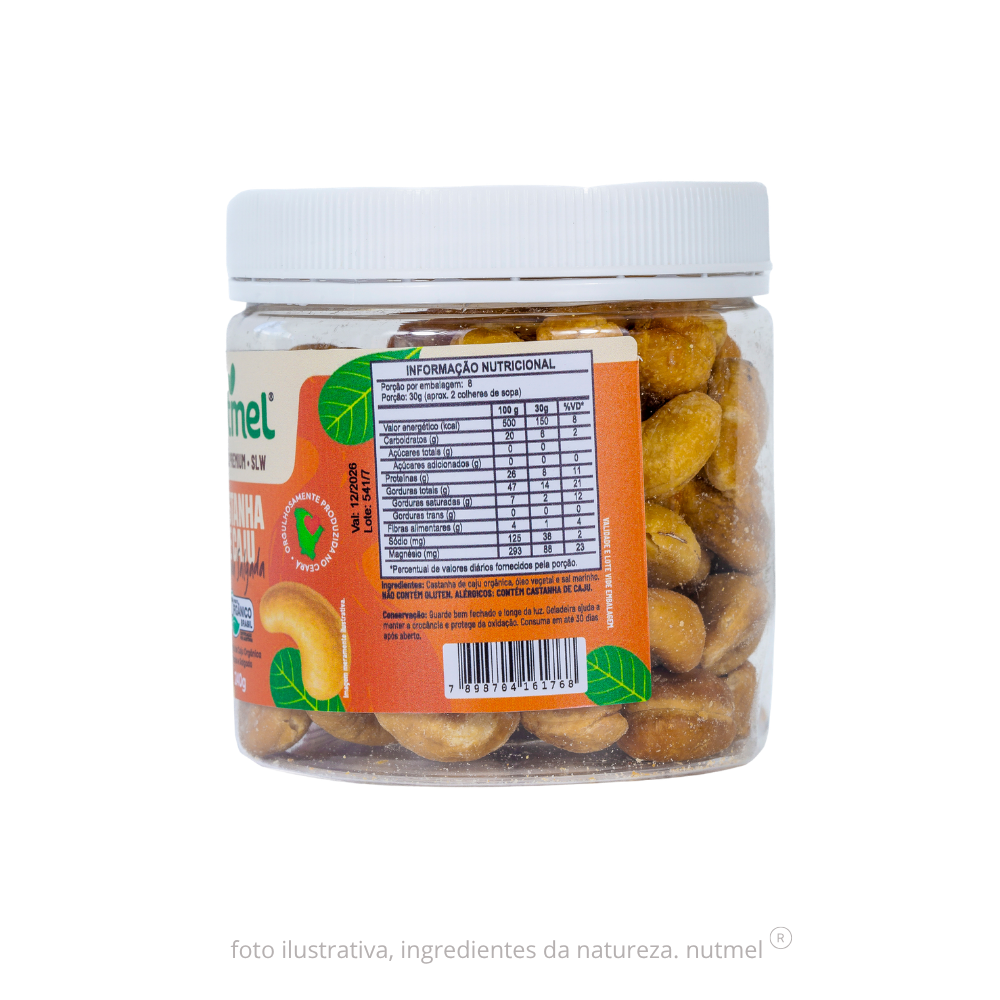 Castanha caju premium orgânica slw torrada salgada pote 240g