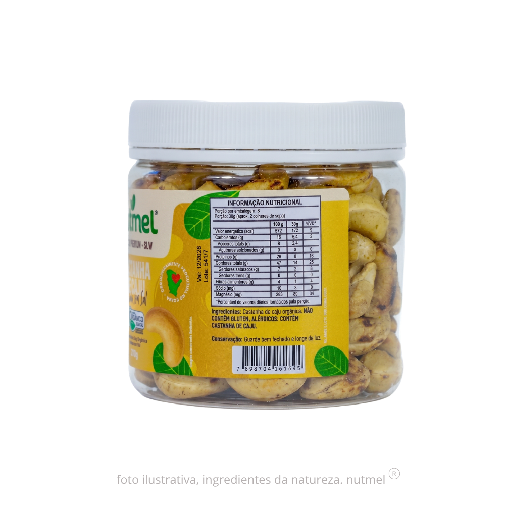 Castanha caju premium orgânica slw assada sem sal pote 240g