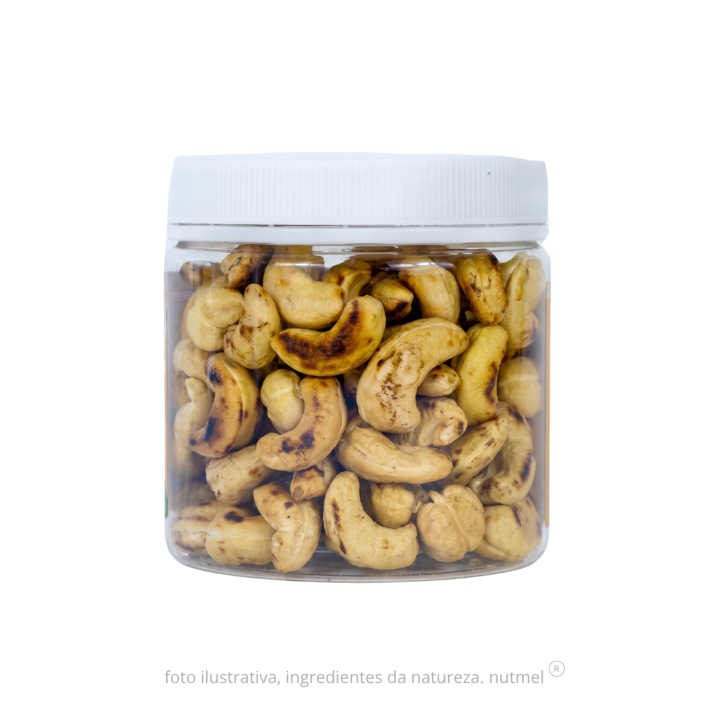 Castanha caju premium orgânica slw assada sem sal pote 240g