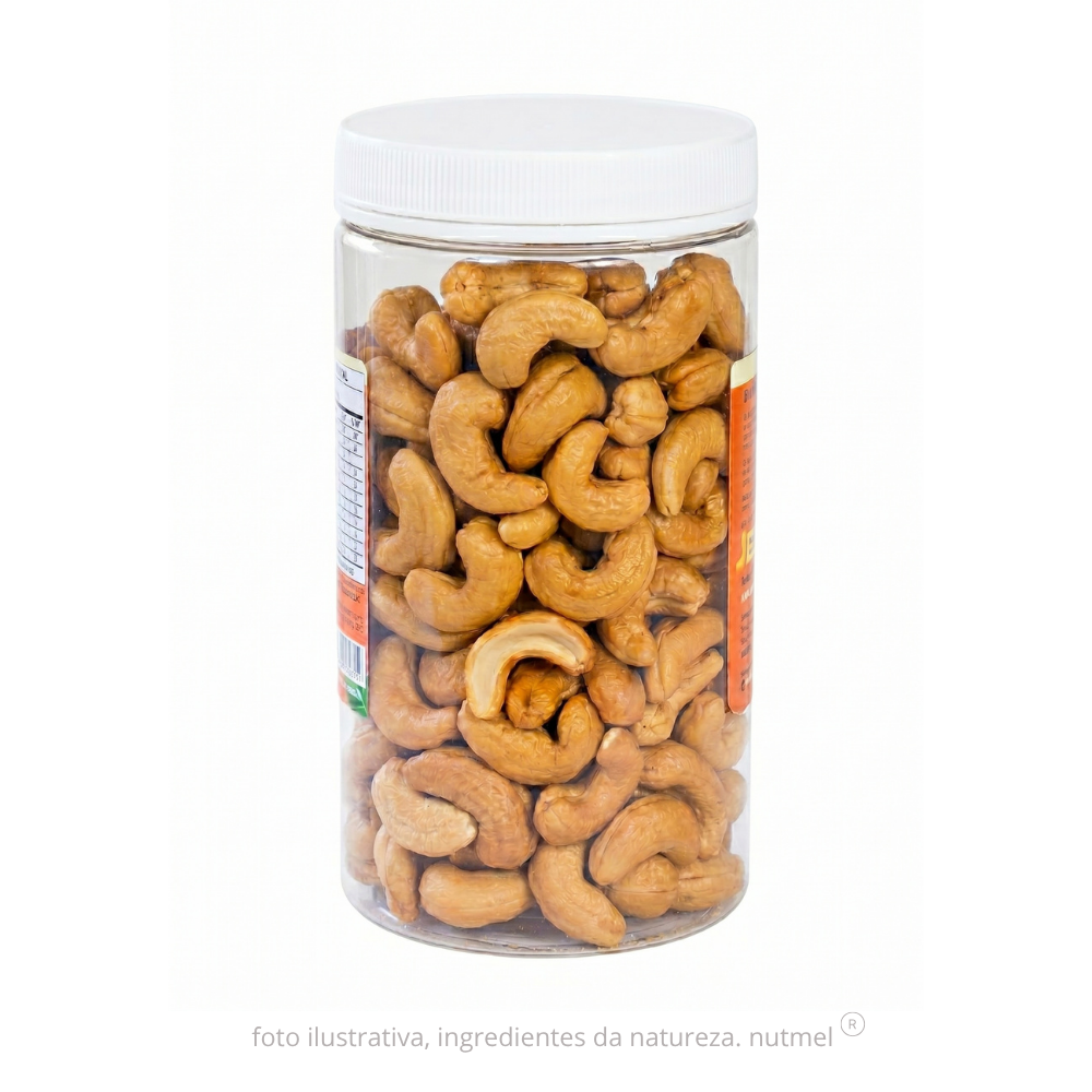 Castanha caju premium orgânica slw torrada salgada pote 480g
