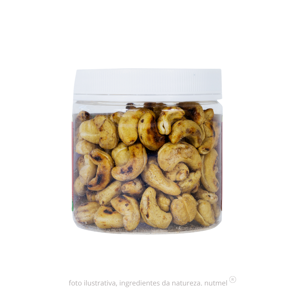 Castanha caju premium orgânica slw assada salgada pote 240g