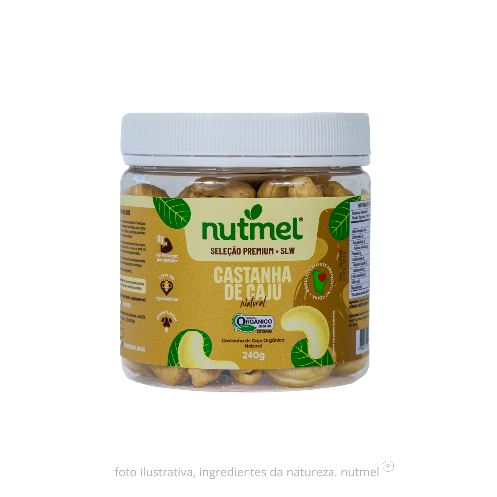 Castanha caju premium orgânica slw natural pote 240g