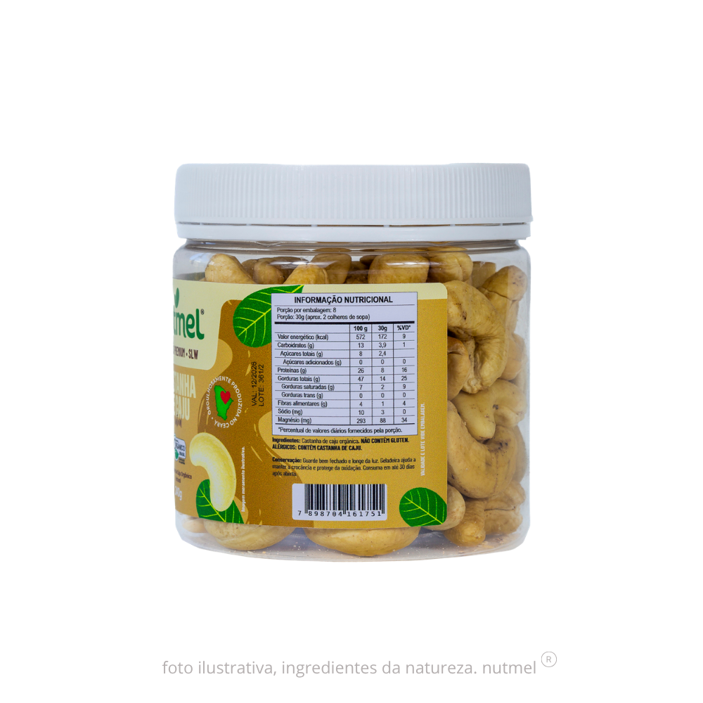 Castanha caju premium orgânica slw natural pote 240g