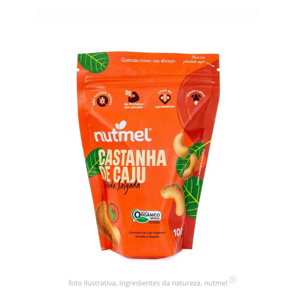 Castanha caju orgânica torrada salgada pouch 100g
