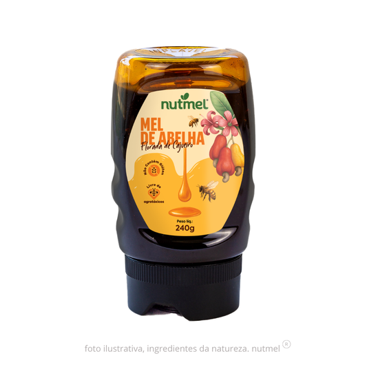 Mel de abelha florada de cajueiro bisnaga 240g