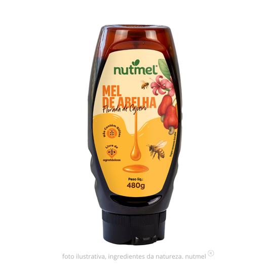 Mel de abelha florada de cajueiro bisnaga 480g