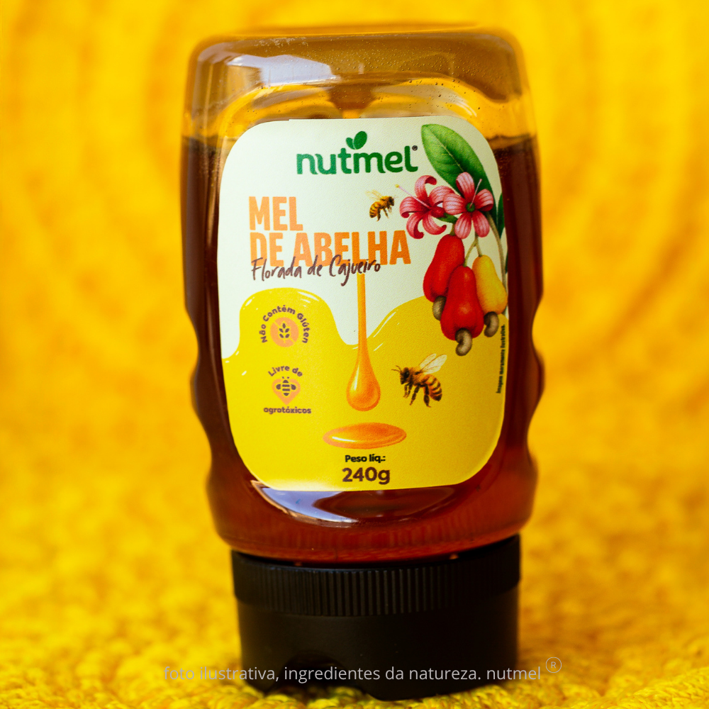 Mel de abelha florada de cajueiro bisnaga 240g