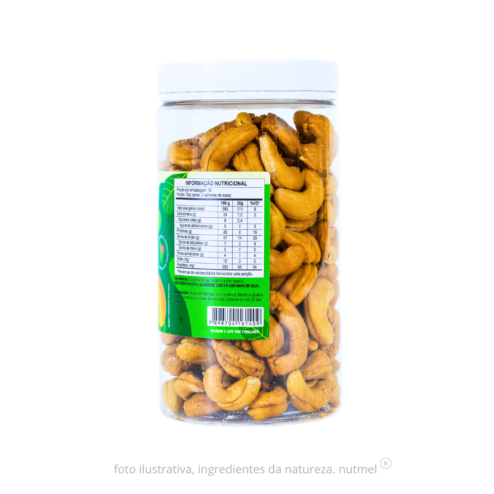 Castanha caju premium orgânica slw torrada sem sal pote 480g