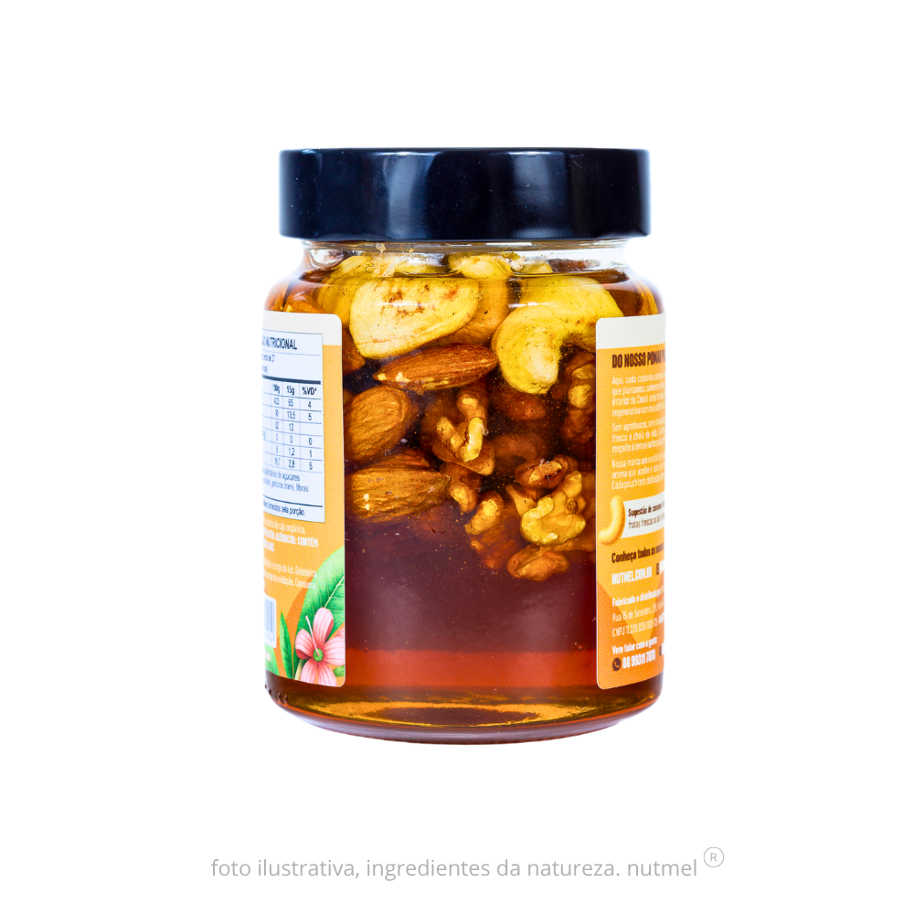 Mel de abelha com nuts 400g