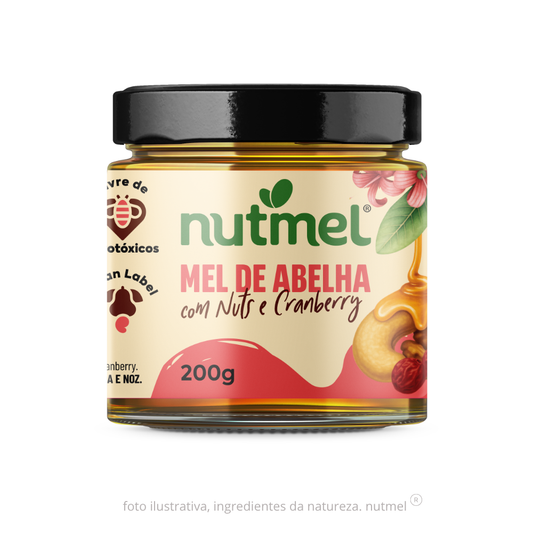 Mel de abelha com nuts e cranberries 200g