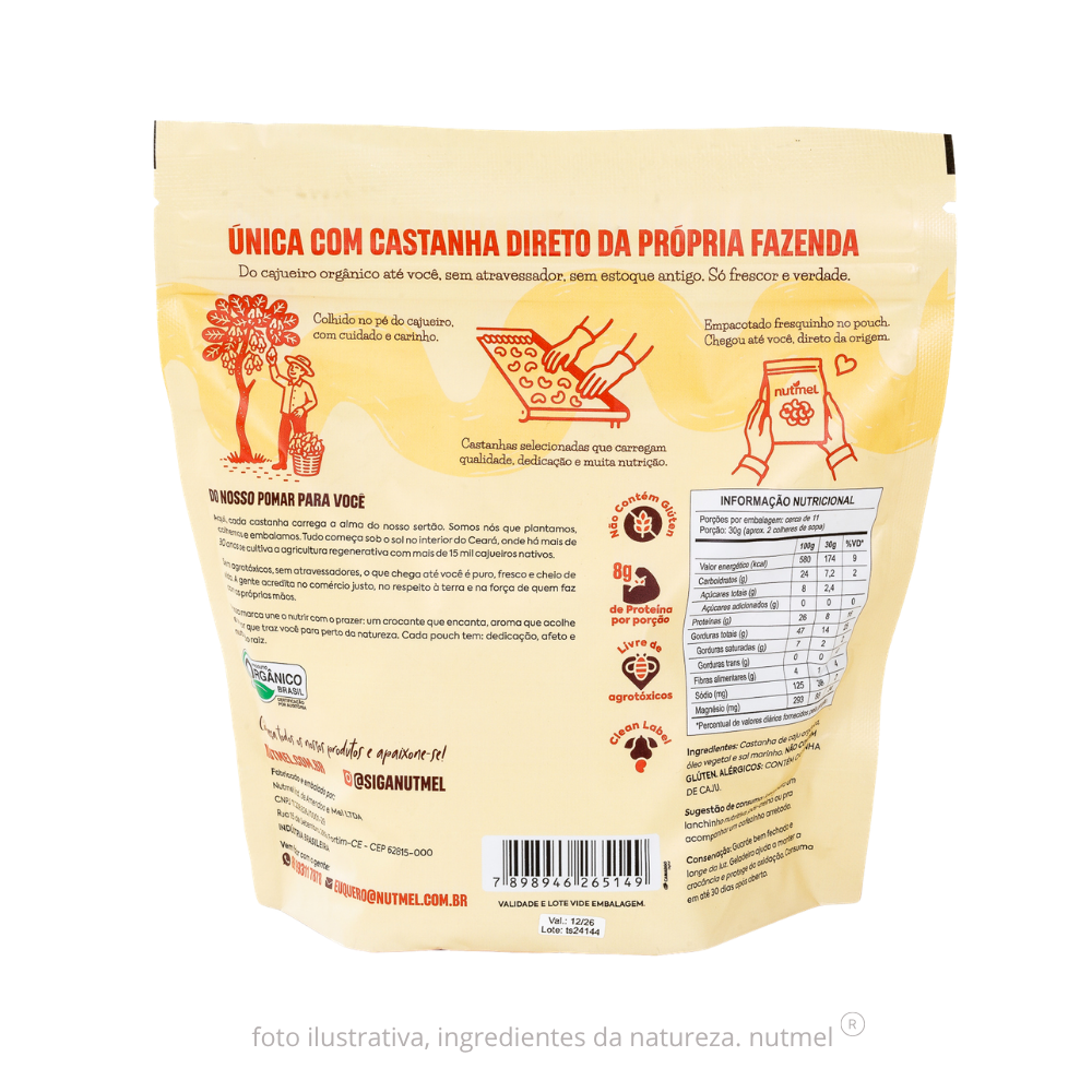 Castanha caju orgânica w1 torrada salgada pouch 350g