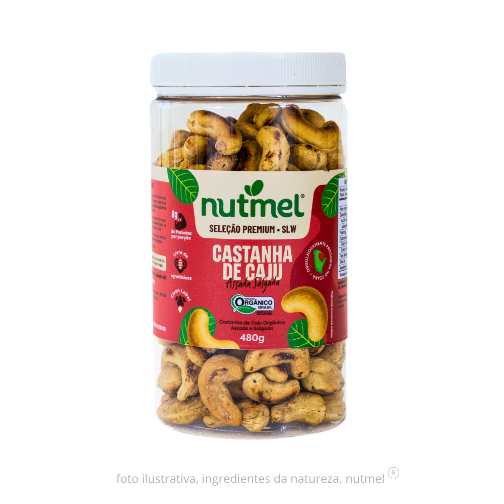 Castanha caju premium orgânica slw assada salgada pote 480g